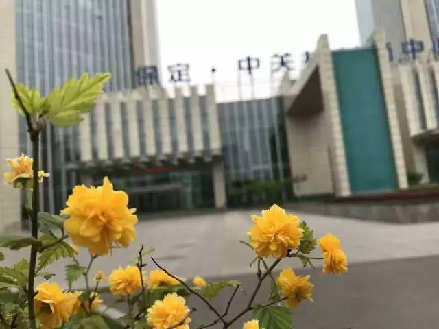 您把未来交给云和数据,我们定不辜负您的期望。