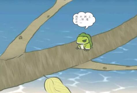 在云和,他从一只“癞蛤蟆”变成了青蛙王子!